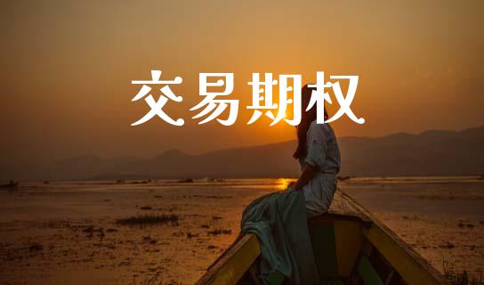 交易期权_https://www.apanben.com_国际期货_第1张
