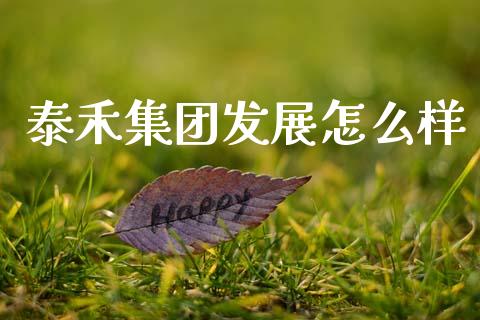 泰禾集团发展怎么样_https://www.apanben.com_国际期货_第1张