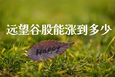 远望谷股能涨到多少_https://www.apanben.com_股市分析_第1张