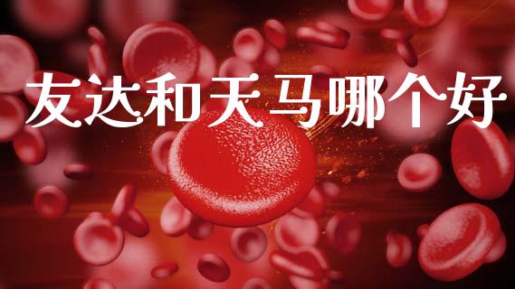 友达和天马哪个好_https://www.apanben.com_期货学院_第1张