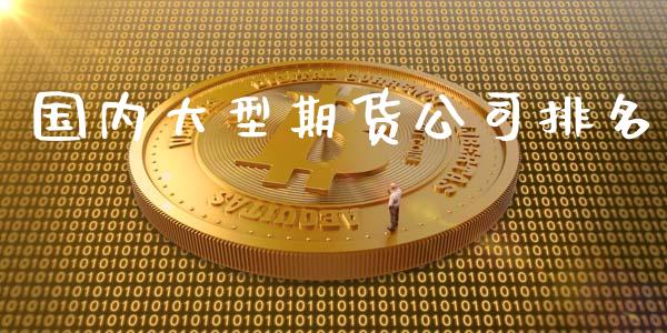 国内大型期货公司排名_https://www.apanben.com_股市指导_第1张