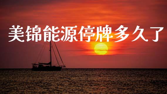 美锦能源停牌多久了_https://www.apanben.com_股票怎么玩_第1张