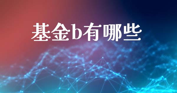 基金b有哪些_https://www.apanben.com_在线喊单_第1张