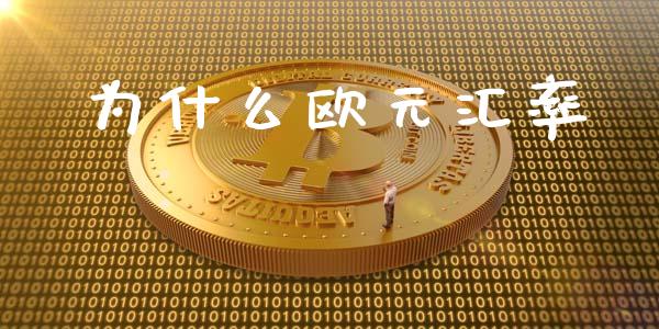 为什么欧元汇率_https://www.apanben.com_股市指导_第1张