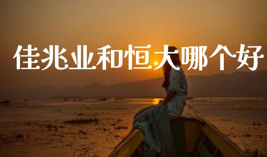 佳兆业和恒大哪个好_https://www.apanben.com_财经资讯_第1张
