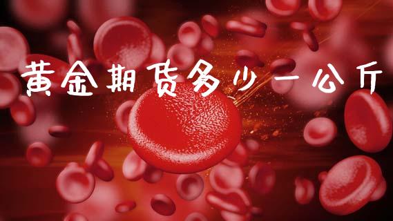 黄金期货多少一公斤_https://www.apanben.com_期货学院_第1张