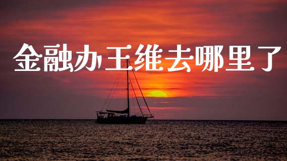 金融办王维去哪里了_https://www.apanben.com_在线喊单_第1张