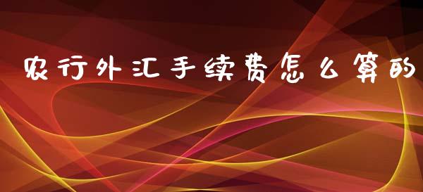农行外汇手续费怎么算的_https://www.apanben.com_股票怎么玩_第1张