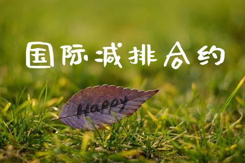 国际减排合约_https://www.apanben.com_股市分析_第1张