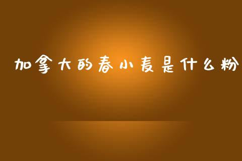 加拿大的春小麦是什么粉_https://www.apanben.com_股票怎么玩_第1张