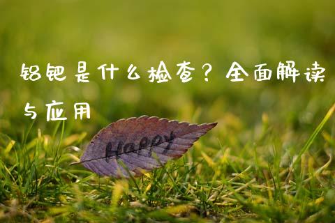 铝钯是什么检查？全面解读与应用_https://www.apanben.com_期货学院_第1张