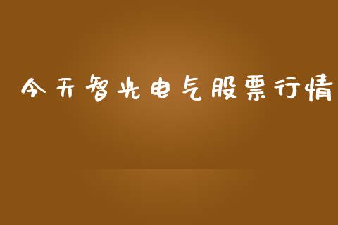 今天智光电气股票行情_https://www.apanben.com_股市分析_第1张