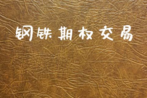 钢铁期权交易_https://www.apanben.com_国际财经_第1张