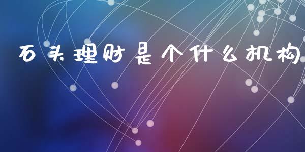 石头理财是个什么机构_https://www.apanben.com_国际期货_第1张