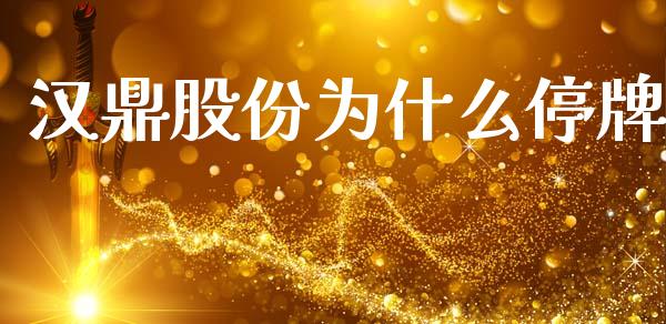 汉鼎股份为什么停牌_https://www.apanben.com_股市指导_第1张
