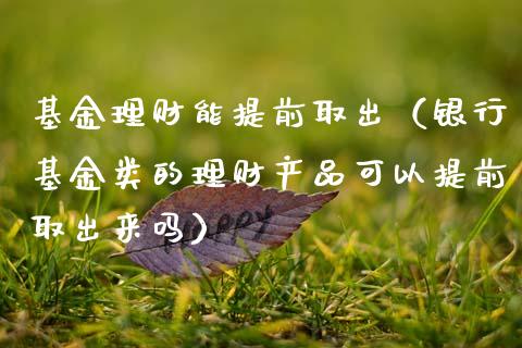 基金理财能提前取出（银行基金类的理财产品可以提前取出来吗）_https://www.apanben.com_国际财经_第1张