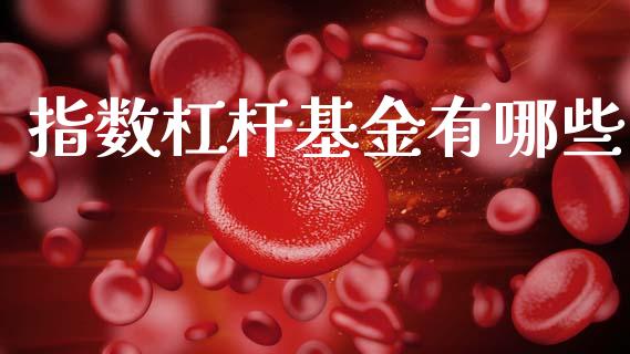 指数杠杆基金有哪些_https://www.apanben.com_在线喊单_第1张