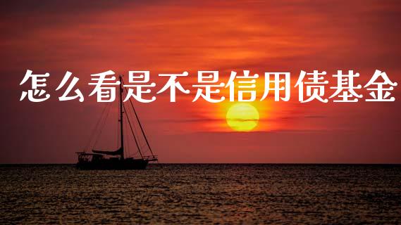 怎么看是不是信用债基金_https://www.apanben.com_国际期货_第1张