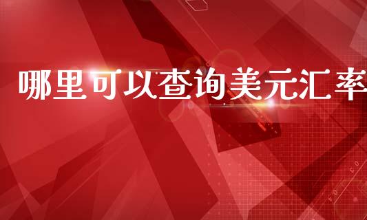 哪里可以查询美元汇率_https://www.apanben.com_期货学院_第1张
