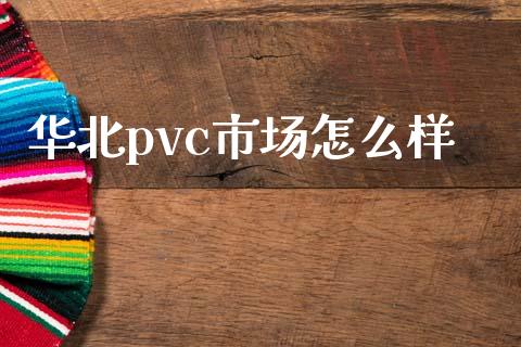 华北pvc市场怎么样_https://www.apanben.com_期货学院_第1张