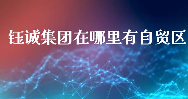 钰诚集团在哪里有自贸区_https://www.apanben.com_期货学院_第1张