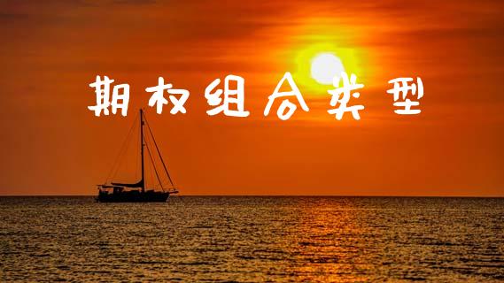 期权组合类型_https://www.apanben.com_国际期货_第1张