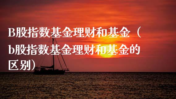 B股指数基金理财和基金（b股指数基金理财和基金的区别）_https://www.apanben.com_国际财经_第1张