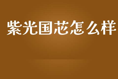 紫光国芯怎么样_https://www.apanben.com_在线喊单_第1张