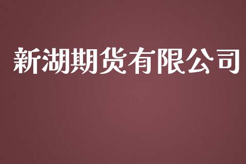 新湖期货有限公司_https://www.apanben.com_财经资讯_第1张