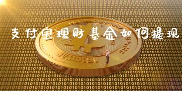 支付宝理财基金如何提现_https://www.apanben.com_国际财经_第1张