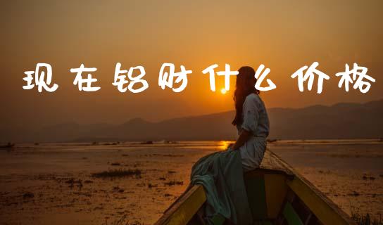现在铝财什么价格_https://www.apanben.com_期货学院_第1张
