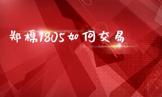 郑棉1805如何交易_https://www.apanben.com_财经资讯_第1张