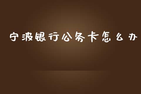 宁波银行公务卡怎么办_https://www.apanben.com_国际财经_第1张