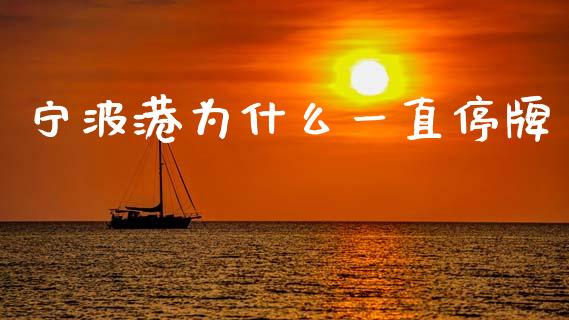 宁波港为什么一直停牌_https://www.apanben.com_国际期货_第1张