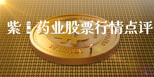紫鑫药业股票行情点评_https://www.apanben.com_股市指导_第1张
