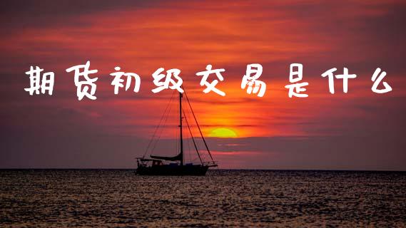 期货初级交易是什么_https://www.apanben.com_财经资讯_第1张