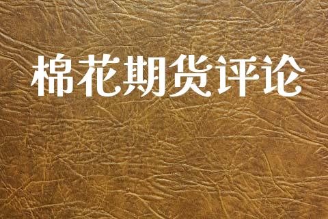 棉花期货评论_https://www.apanben.com_财经资讯_第1张