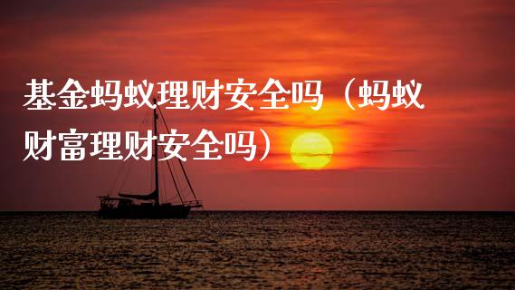 基金蚂蚁理财安全吗（蚂蚁财富理财安全吗）_https://www.apanben.com_财经资讯_第1张