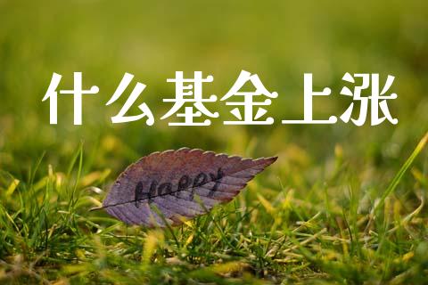 什么基金上涨_https://www.apanben.com_期货学院_第1张