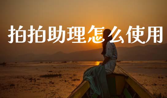 拍拍助理怎么使用_https://www.apanben.com_财经资讯_第1张