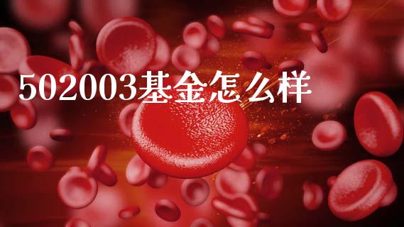 502003基金怎么样_https://www.apanben.com_股市指导_第1张