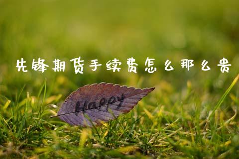 先锋期货手续费怎么那么贵_https://www.apanben.com_在线喊单_第1张