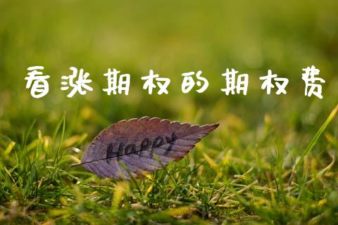 看涨期权的期权费_https://www.apanben.com_国际期货_第1张