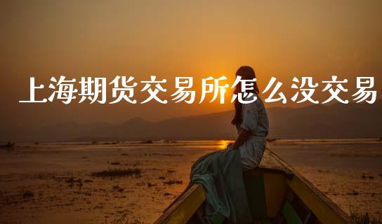 上海期货交易所怎么没交易_https://www.apanben.com_财经资讯_第1张