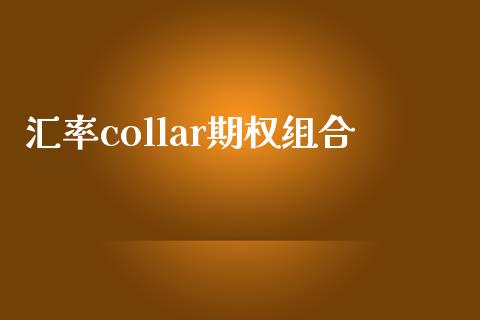 汇率collar期权组合_https://www.apanben.com_在线喊单_第1张