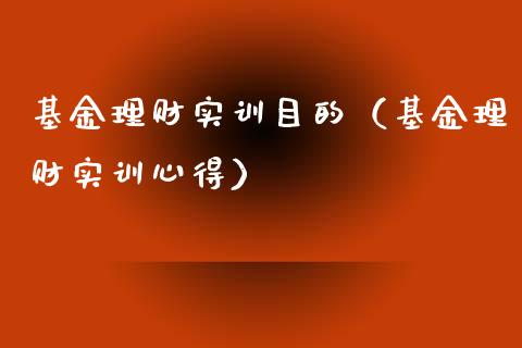 基金理财实训目的（基金理财实训心得）_https://www.apanben.com_财经资讯_第1张