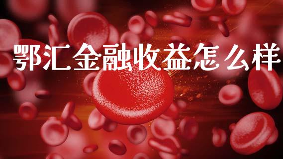 鄂汇金融收益怎么样_https://www.apanben.com_在线喊单_第1张