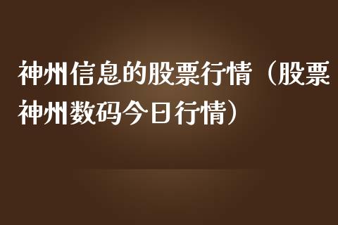神州信息的股票行情（股票神州数码今日行情）_https://www.apanben.com_股市分析_第1张