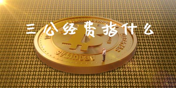 三公经费指什么_https://www.apanben.com_在线喊单_第1张
