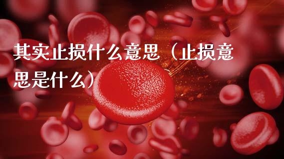 其实止损什么意思(止损意思是什么)_期货学院_第1张_安贝财经网 其实止损什么意思(止损意思是什么)_https://www.apanben.com_期货学院_第1张